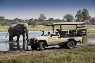 Khwai Bush Camp Game Drive Khwai Bush Camp Game Drive