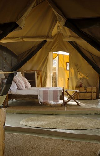 Kigelia Camp Family Tent Kigelia Camp Family Tent