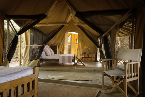 Kigelia Camp Family Tent Kigelia Camp Family Tent