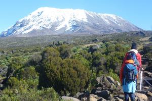 Kilimanjaro Trek Kilimanjaro Trek