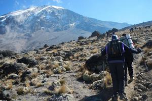 Kilimanjaro Trekking