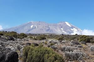 Kilimanjaro Alpine Terrain
