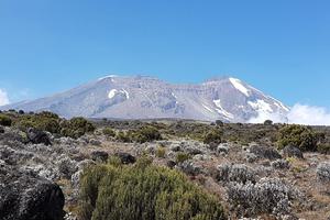 Kilimanjaro Alpine Terrain Kilimanjaro Alpine Terrain