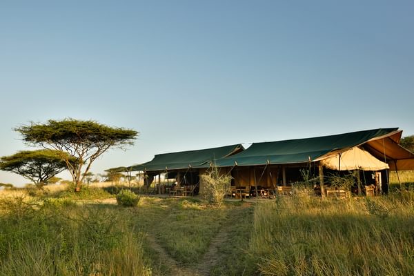 Kiota Camp Landscape Kiota Camp Landscape