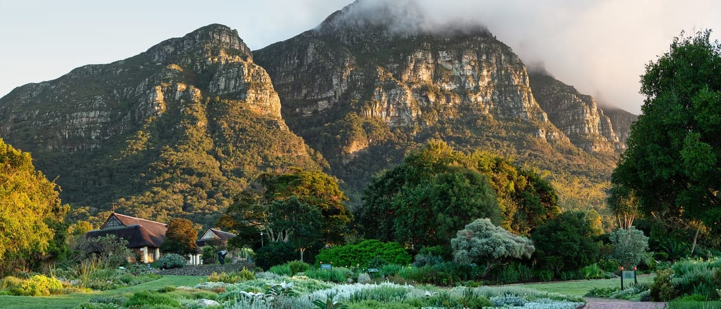 Kirstenbosch Botanical Gardens