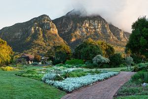 Kirstenbosch Botanical Gardens