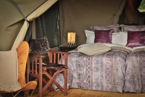 Kirurumu  Ngorongoro  Pakulala  Camp  Tent  Int