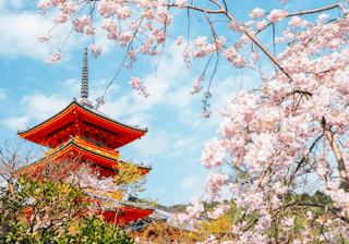 Kiyomizu dera temple with cherry blossoms at spring in Kyoto Japan Canva Pro Kiyomizu dera temple with cherry blossoms at spring in Kyoto Japan Canva Pro