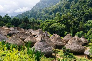 Kogi village Sierra Nevada La Ciudad trek Colombia Canva Pro