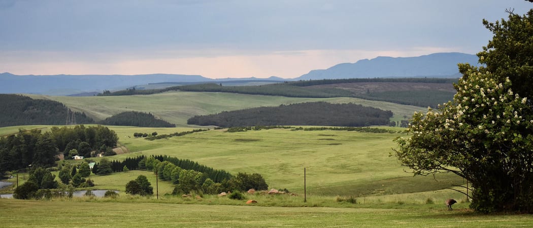 Kwa Zulu Natal Midlands South Africa Pixa Bay1