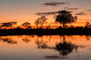 Kwando Lebala Sunset Reflection Kwando Lebala Sunset Reflection
