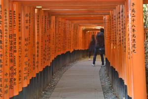 Kyoto Fushimi Inari Thousands of vermilion Torii Gates 4