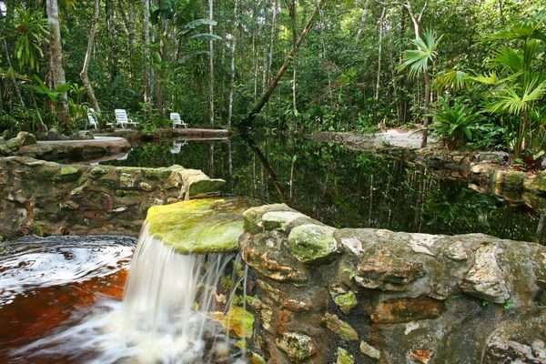 Lagoon Amazon Ecopark Lodge Brazil Lagoon Amazon Ecopark Lodge Brazil