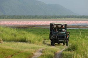 Lake  Manyara  Tree  Lodge  Flamingo Safari