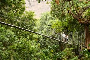 Lake Manyara Treetop Canopy Walkway Lake Manyara Treetop Canopy Walkway
