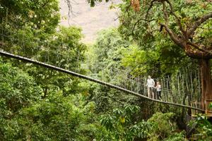 Lake Manyara Treetop Canopy Walkway