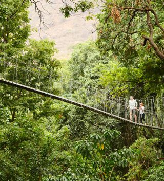 Lake Manyara Treetop Canopy Walkway