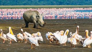 Lake Nakuru National Park Lake Nakuru National Park