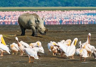 Lake Nakuru National Park Lake Nakuru National Park