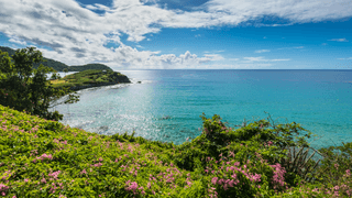 Landscape of Antigua island Antigua and Barbuda Canva Pro Landscape of Antigua island Antigua and Barbuda Canva Pro