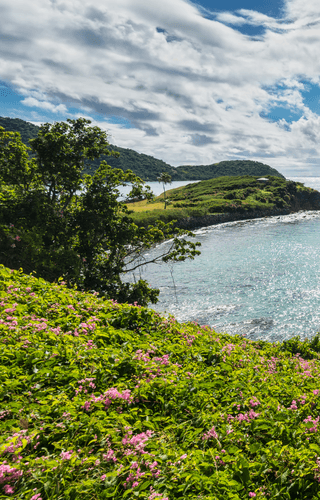 Landscape of Antigua island Antigua and Barbuda Canva Pro