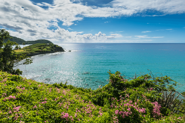 Landscape of Antigua island Antigua and Barbuda Canva Pro Landscape of Antigua island Antigua and Barbuda Canva Pro
