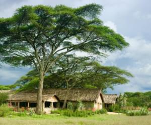 Landscape With Ndutu Safari Lodge