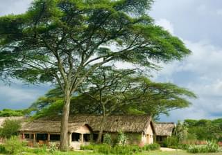 Landscape With  Ndutu  Safari  Lodge