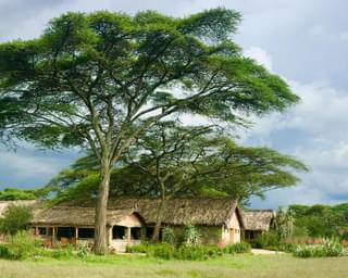 Landscape With Ndutu Safari Lodge