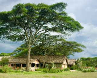 Landscape With Ndutu Safari Lodge Landscape With Ndutu Safari Lodge