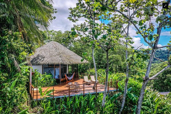 Lapa rios costa rica Deluxe Bungalow tree top external view jpg Lapa rios costa rica Deluxe Bungalow tree top external view jpg