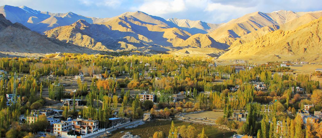 Leh View