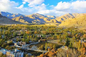 Leh View