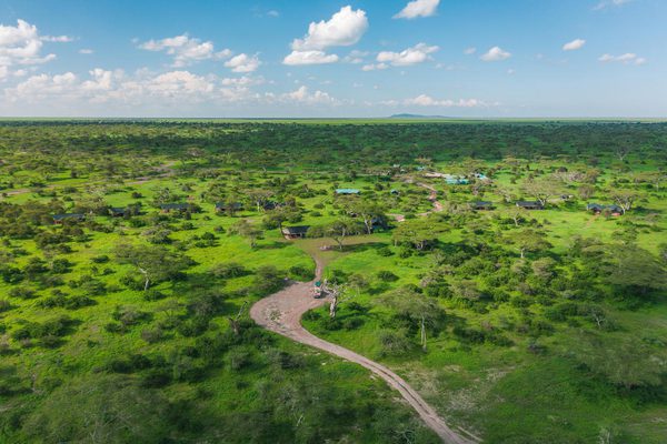 Lemala Ndutu Mobile Tented Camp HERO Lemala Ndutu Mobile Tented Camp HERO