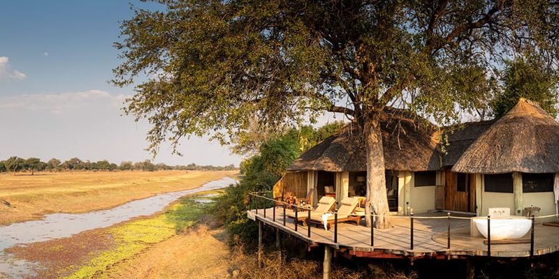 Lion Camp Deluxe suite number 1 Lion Camp Deluxe suite number 1