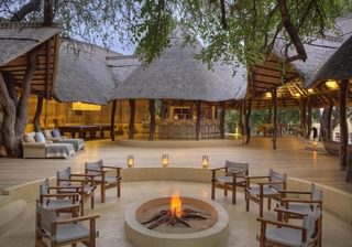 Lion Camp 10 Lion Camp 10