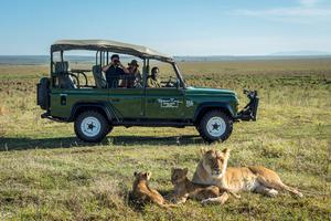 Little Governors Camp Lion Safari Little Governors Camp Lion Safari