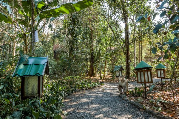 Lodge Walkways Topas Ecolodge Sapa Vietnam Facebook Lodge Walkways Topas Ecolodge Sapa Vietnam Facebook