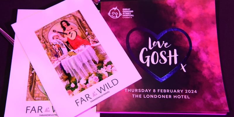 Love GOSH 2024 376 Love GOSH 2024 376