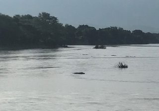 Luangwa River