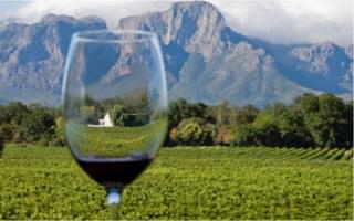 Luxury Food Wine Tour Cape Town Winelands And Safari 2