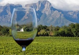 Luxury Food Wine Tour Cape Town Winelands And Safari 2