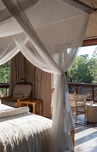 Luxury tented suite with bush views Tuli Safari Lodge Tuli Botswana Wetu Luxury tented suite with bush views Tuli Safari Lodge Tuli Botswana Wetu