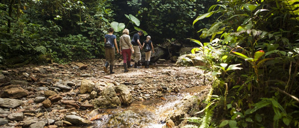 MP20060 Mashpi Lodge walk min 2