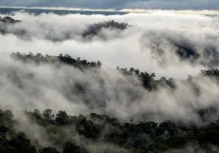 MP80022 Landscape rainforest clouds 1 MP80022 Landscape rainforest clouds 1