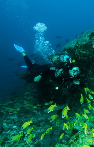 Machangulo Diving Fun