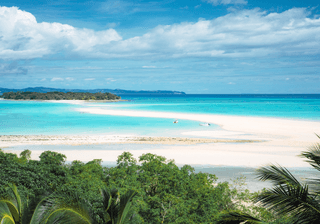 Madagascar Canva Pro Madagascar Canva Pro