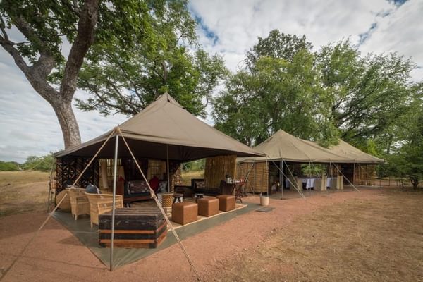Main Area Camp Hwange Main Area Camp Hwange
