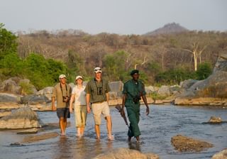 Majete Walking Safari Majete Walking Safari