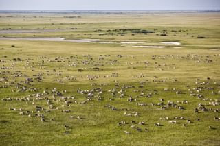 Makgadikgadi 4 Makgadikgadi 4